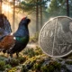 7.1 million capercaillie 10p coins outnumber Scotland’s birds